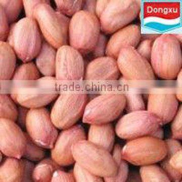 raw peanuts kernels