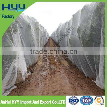 100% VIRGIN HDPE ANTI BEE NET(HYY FACTORY) photo-6