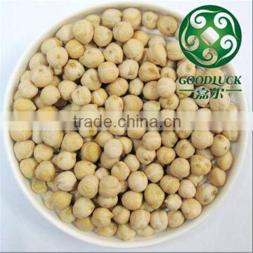 Wholesale China chickpeas of good quality (2013 crop)