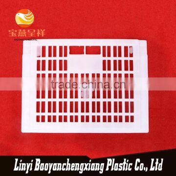 New Polyethylene China White Industrial Chicken Coop photo-6