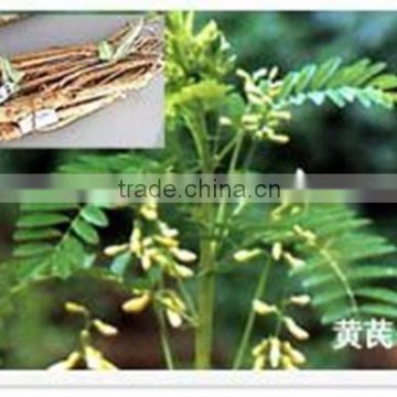 astragalus extract / astragalus polysaccharides / astragaloside iv