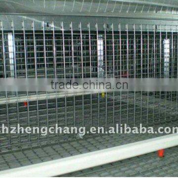 Chicken Breeding Equipment