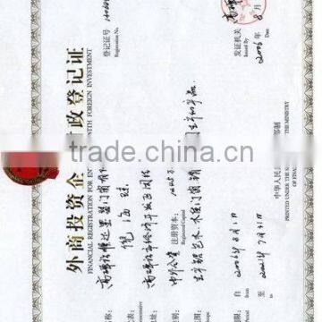 FINANCAIL REGISTRATION FOR ENTERPRISE WITH FOREIGN