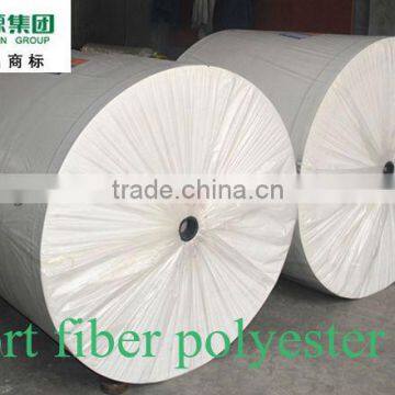 polyester mat for bitumen membrane