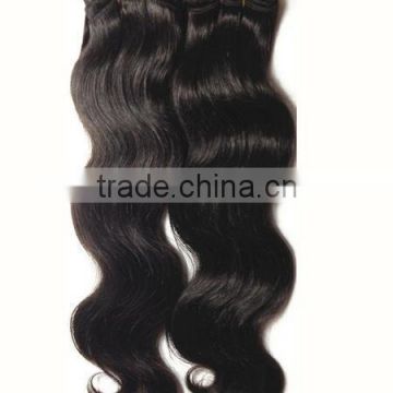 Brazilian Virgin Hair Human Hair Body Wave