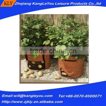 potato plant growing bag