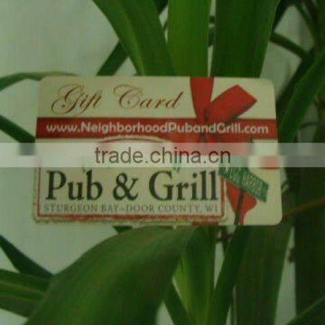 Free sample..!! Plastic gift cards/ PVC gift card