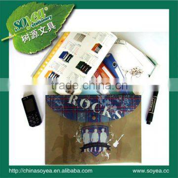 plastic file bag