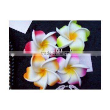 foam flower