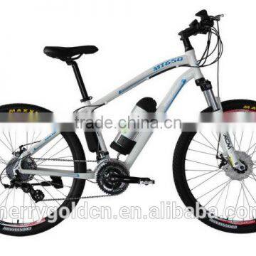 Good price mid motor e-bike 250w brushless with lithium battery