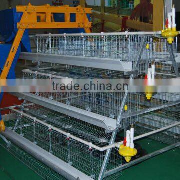 galvanzied chicken/poultry cages For Egg-laying Hens