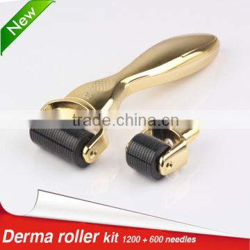 Hot Sale Microneedle Therapy 1200 Derma Roller for Body Part With Replaceable Roller