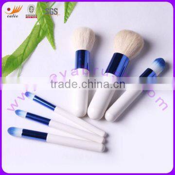 OEM customer label mini cosmetics brush set with 6pcs