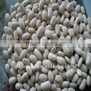 medium white kidney beans square type