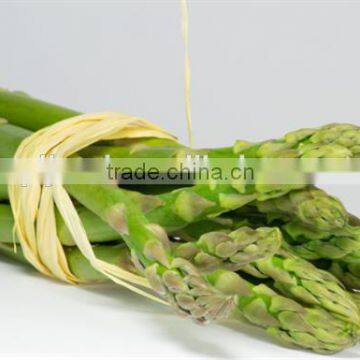 China big factory supply canned green asparagus