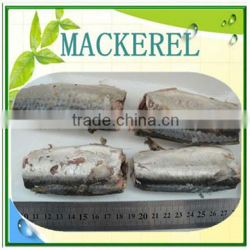 canned mackerel supplier