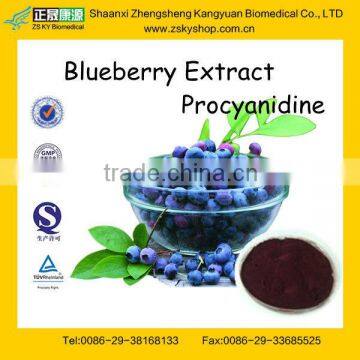 GMP Certified Manufacturer Supply Blueberry Extract