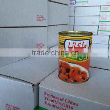 Good Quality Canned Broad Bean