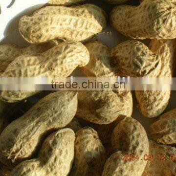 Peanuts shell
