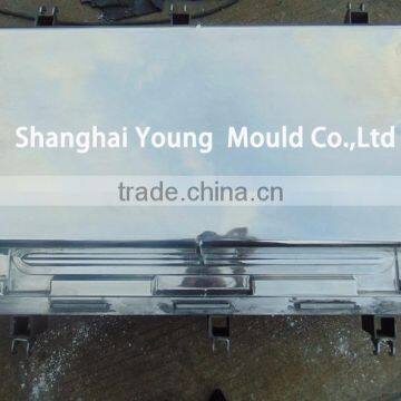 Mirror Surface Rotomolding Mould