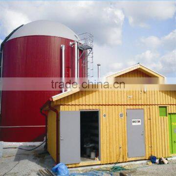 Biogas power plant