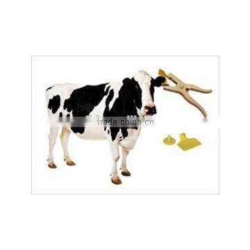 HF/ UHF Animal Identification Rfid Tag for Cattle/cow/ Livestock photo-5