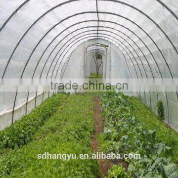 Polaycarbonate Greenhouse Kits photo-3