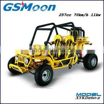 250cc Water Cooling EEC/EPA Sand Beach Buggy photo-4