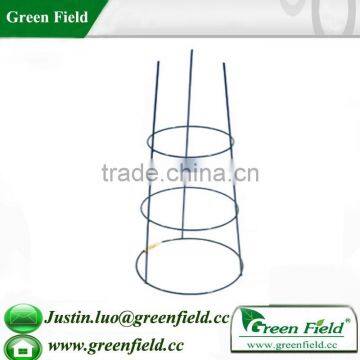 Tomatoes Plant Trellis Gardening