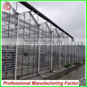 Agricultural large size/span glass greenhouses for potatoes/tomatoes