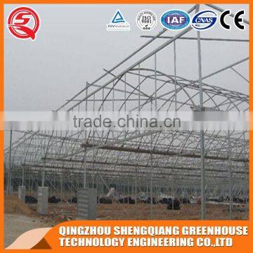 China Direct Plastic Greenhouse for Plant Tomato and Flowers photo-4