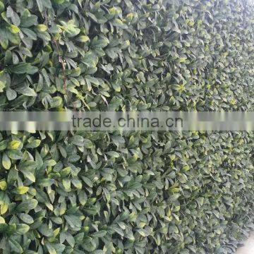 SJ04001115 High Quality Plastic Artificial Grass Turf Mat photo-3