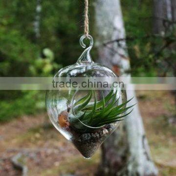 New Design With High Quality Wholesale Glass Globle Hanging Terrarium photo-4