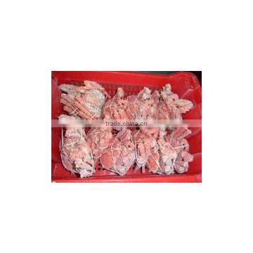 Frozen Cooked King Crab photo-3