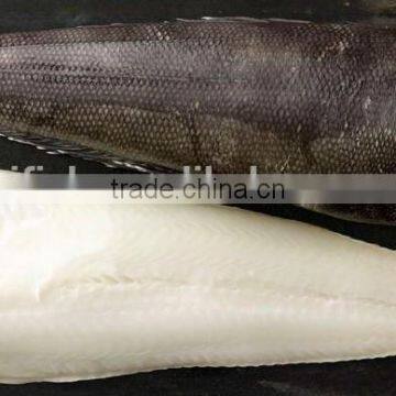 Patagonian Toothfish photo-2