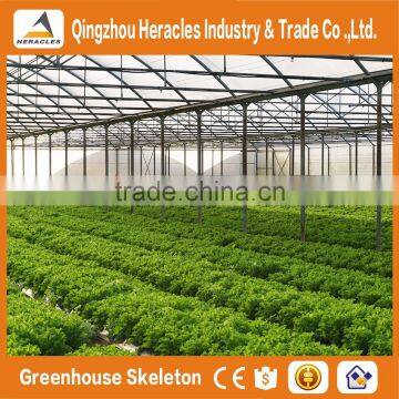Heracles Trade Assurance Agricultural Tunnel Greenhouse photo-4