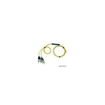 Sell 72 Series Fiber Optic Strength Ribbon Pigtail