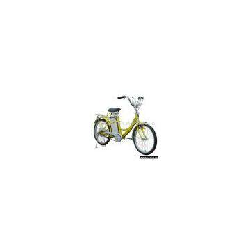 Electric Bicycle