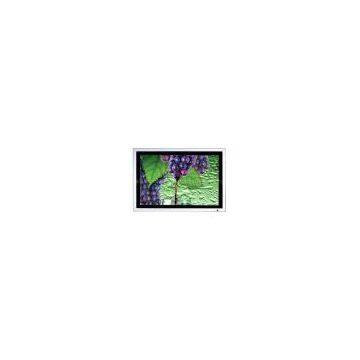 LCD AD Display