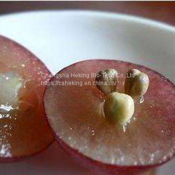 100% Natural and pure?Grape?Seed?extract