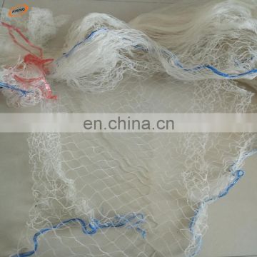 new HDPE 20m x 6m wide garden anti bird netting with UV/pe anti bird protection netting/vineyard mist nets for sale