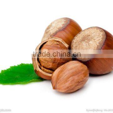 Premium quality Organic Hazelnuts