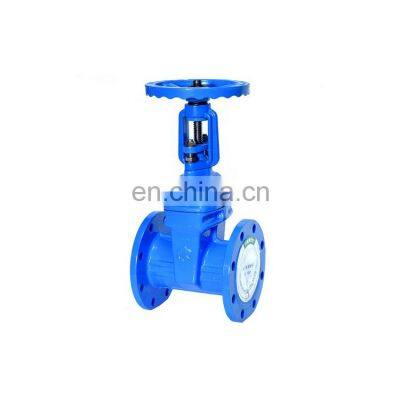 Tyco China Manufacturer Cast Iron Cast Steel Resilient Seated Rising Stem Wedge Gate Valve