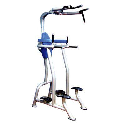 Fitness Tree  Commercial Gym Equipment  Vertical Leg Raise   machine