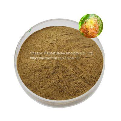 Natural Corn Stigma Extract/Corn Silk Extract photo-2