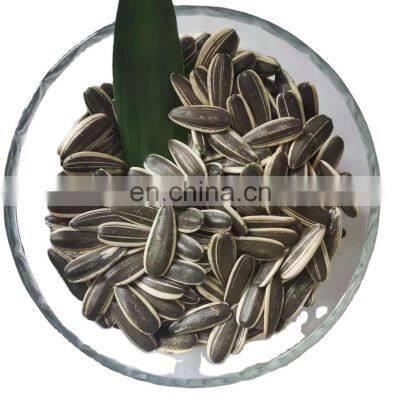 sunflower seed 280 candied sunflower seeds chacha sun flower seeds