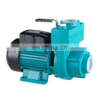 Intelligent Portable Electric 220V ZDB Booster Self Priming Water Pump photo-2