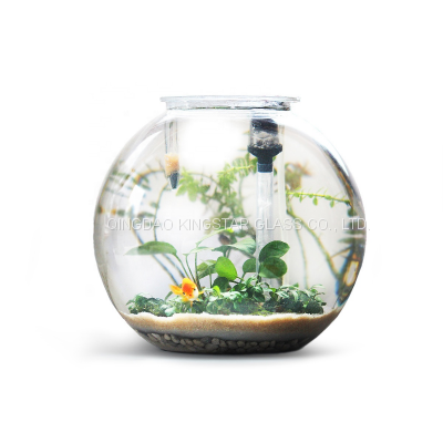 Glass Fish Bowl photo-5