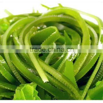 Sun Dried Kelp Cut,Seaweed Product Wholesale,Dried Kombu