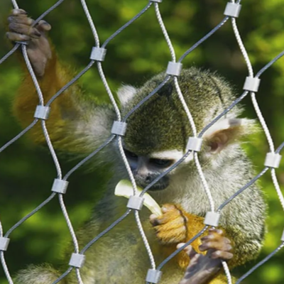 Geknotetes und endbeschlagtes rostfreies Stahlseilnetz für Zoo-Enclosures photo-2